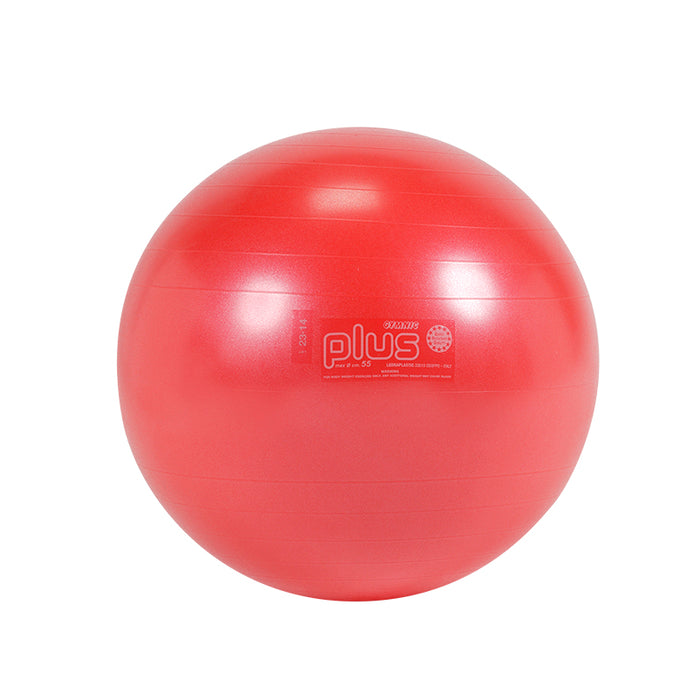 Gym Ball - 55cm