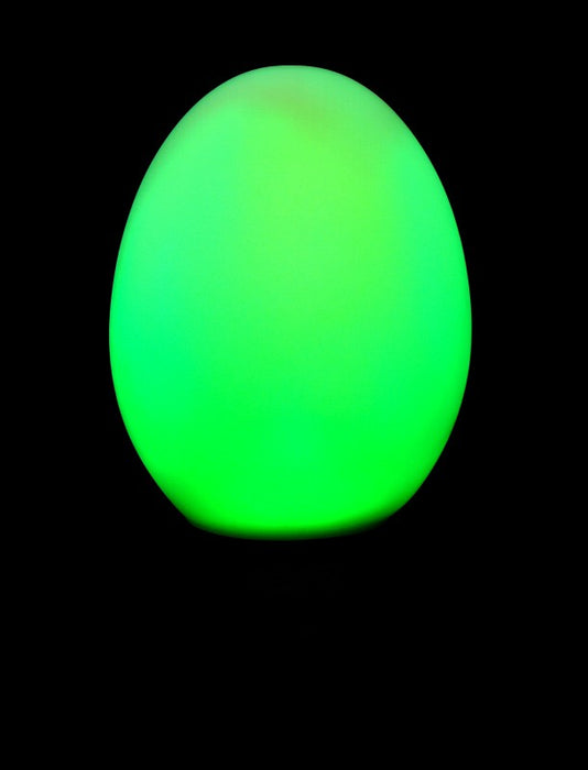 Light Up Colour Changing Egg