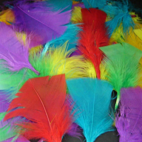 Feathers Classpack