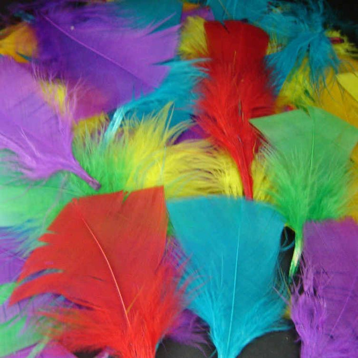 Feathers Classpack