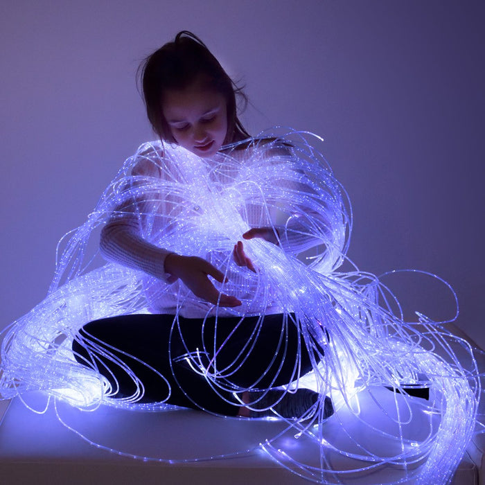 Fibre Optic Light Source Kit 16W with 200 Tails 2m long