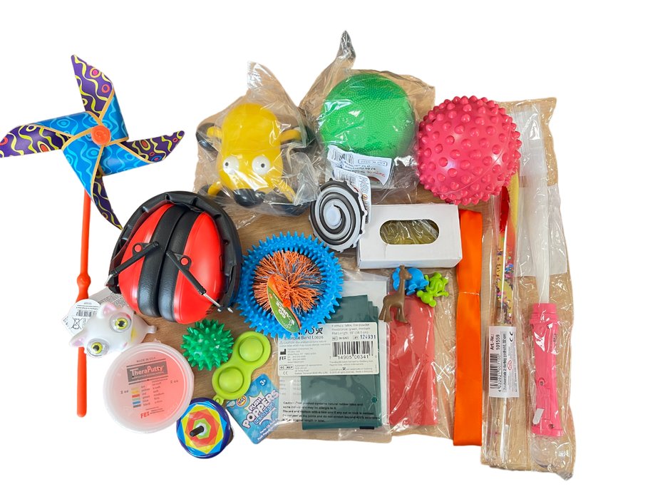 Toy Sentry Box Thinking Toys Sensory Box (Primary School)