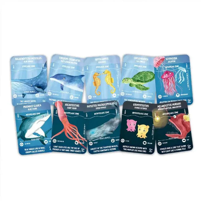 Ocean Life Puzzle - Available in August