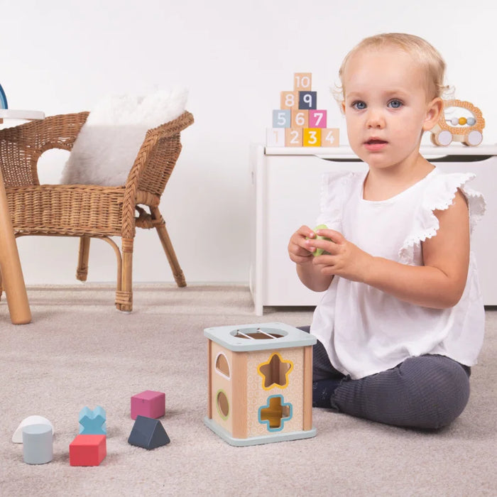 Shape Sorter- Wood