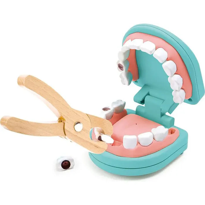 Super Smile Dental Clinic Set - HAPE - Available in August
