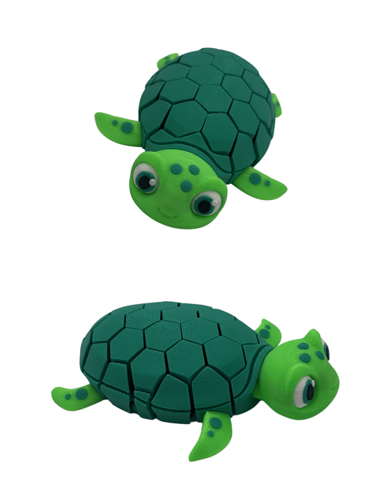 Fidget Turtle