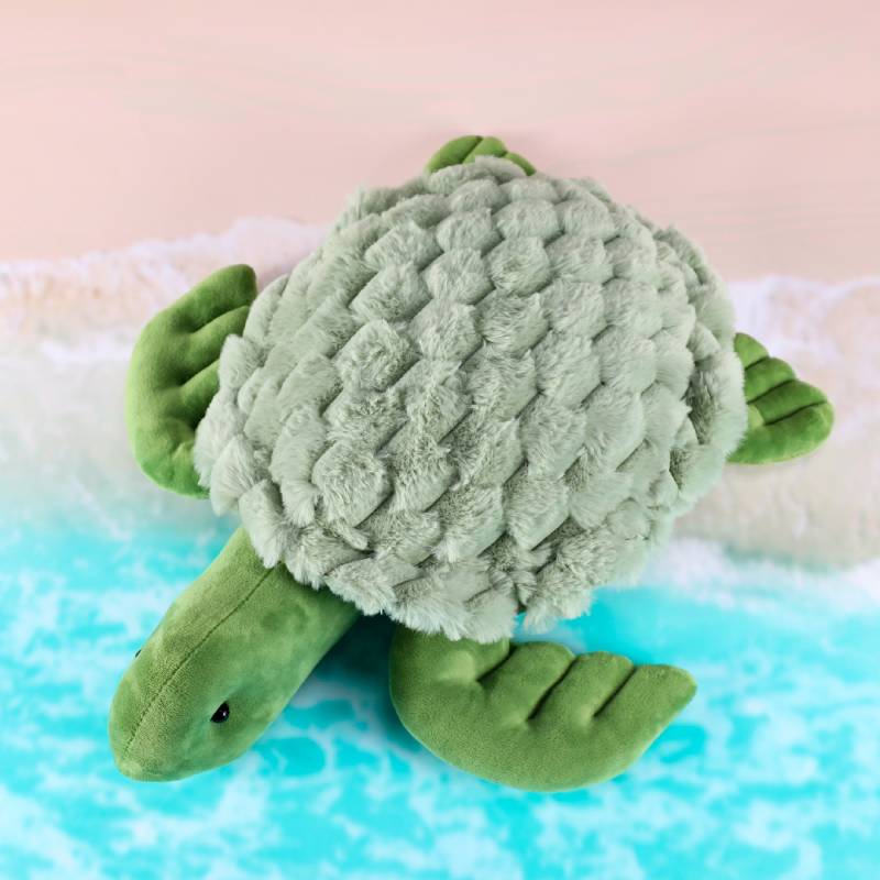Weighted Turtle 1 kgs — Thinking Toys