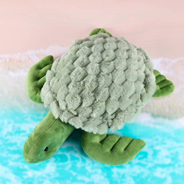 Weighted Turtle 1 kgs