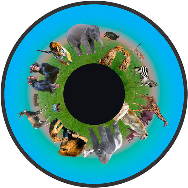 Opti Magnetic Effects Wheel 6" - Animals