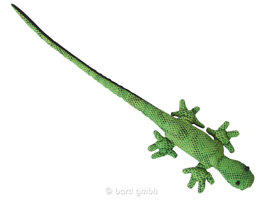 Beanie - Gecko