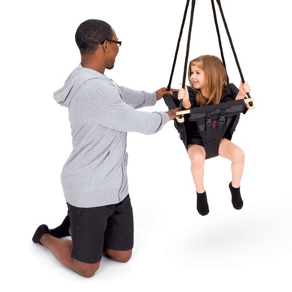 Southpaw Not-So-Infant Swing (120025)