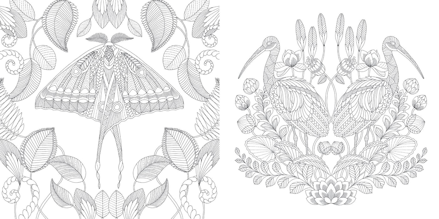Adult Colouring Book : Tropical Wonderland