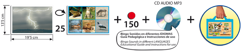 Bingo: Animals and Nature: 25 Sounds