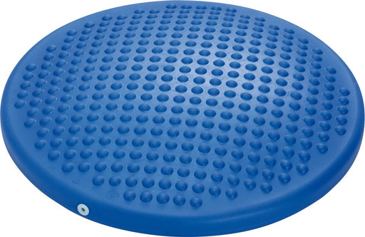 Disc' o' SitOffers 'active sitting' which helps decrease fidgeting and increases awareness and concentration.  Also great for balancing exercises.