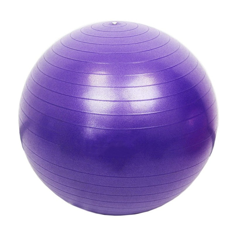 Gym Ball Plus 65 cm Purple — Thinking Toys